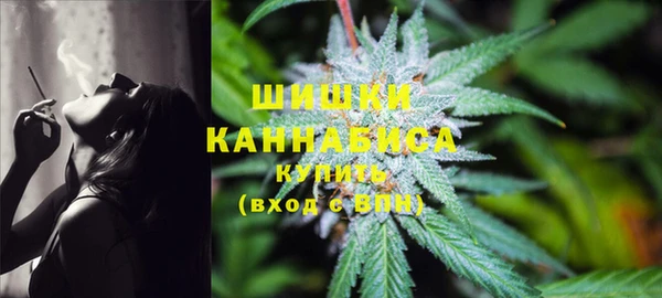 spice Бугульма