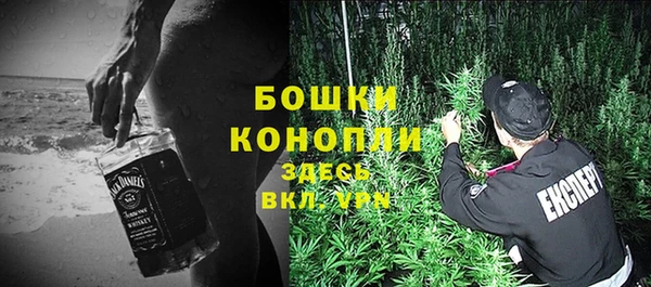 ешки Тайга