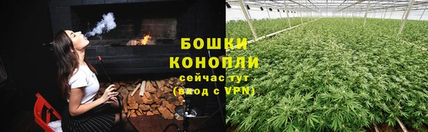 индика Верея